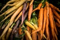 Bunches of organic rainbow carrots at a farmers market