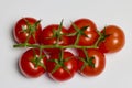 bunches of organic tomatoes