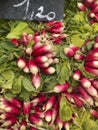 Bunches of radishes at a market Royalty Free Stock Photo
