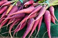 Bunches of radishes Royalty Free Stock Photo