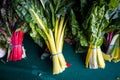 Bunches of Rainbow Chard at Farmers Market