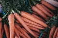 Bunches of raw organic carrots in a wooden crate Royalty Free Stock Photo