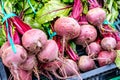 Bunches Of Raw Uncooked Beetroot On A Market Stall Royalty Free Stock Photo