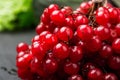 Bunches of red berries, red currant or rowanberry Royalty Free Stock Photo