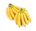 Bunches of ripe baby bananas on white background