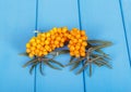 Bunches ripe buckthorn berries on background of blue painted wood.