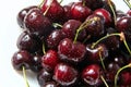 Juicy red cherry with drops of water on berries Royalty Free Stock Photo