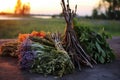 bunches of sacred herbs near a solstice bonfire