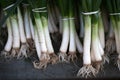 Bunches of spring onions