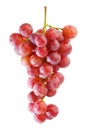 Bunches of Summer fresh red grape