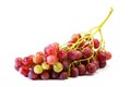 Bunches of Summer fresh red grape