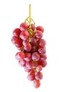 Bunches of Summer fresh red grape