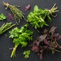 Bunches of various fresh herbs on black background Royalty Free Stock Photo