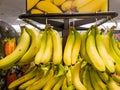 Bunches of yellow Banannas for sale inside a shop Royalty Free Stock Photo
