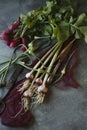 Bunches of young spring garlic and radish on green table