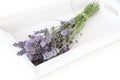 Bundeled bunch of lavender stems on a white tray. Royalty Free Stock Photo