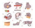 Bundle of adorable cats playing with toys and hiding in boxes, vector isolated.