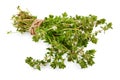 Bundle of aromatic spicy thyme herb with flowers. Organic spices