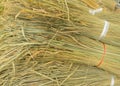 Bundle of Asian dry ripe rice on rice field. Sheaf of wheat pattern texture background in agriculture concept. Stalk rye