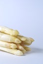 A bundle asparagus spears Royalty Free Stock Photo