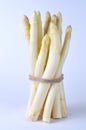A bundle asparagus Royalty Free Stock Photo