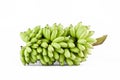 bundle of bananas on white background healthy Pisang Mas Banana fruit food isolated