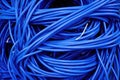 a bundle of blue ethernet cables connected to server