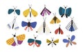 Bundle of bright colored cartoon moths isolated on white background. Set of exotic nocturnal flying insects with