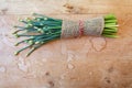 Bundle of budded chives bound in burlap and tied with twine on weathered wood background, copy space