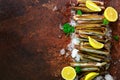 Bundle, bunch of fresh razor clams on ice, dark concrete background, lemon, herbs. Copy space, top view, banner.