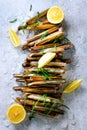 Bundle, bunch of fresh razor clams on ice, grey concrete background, lemon, herbs. Copy space, top view.