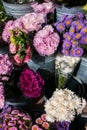 Purple and pink flowers on sale