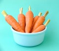 Bundle of carrots in bowl on blue background (close up)