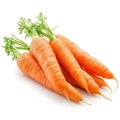 Bundle of Carrots, Organic Farm Fresh Vegetables, Root Veggies, Food Culinary Object, Isolated White Transparent Background Royalty Free Stock Photo