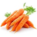 Bundle of Carrots, Organic Farm Fresh Vegetables, Root Veggies, Food Culinary Object, Isolated White Transparent Background Royalty Free Stock Photo