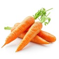 Bundle of Carrots, Organic Farm Fresh Vegetables, Root Veggies, Food Culinary Object, Isolated White Transparent Background Royalty Free Stock Photo