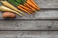 Bundle of carrots, parsnip and sweet potato on a rustic table Royalty Free Stock Photo