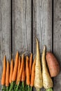 Bundle of carrots, parsnip and sweet potato on a rustic table Royalty Free Stock Photo