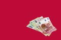 Bundle of cash money,10,50,100,200 Euro paper banknotes ,column of various stacked Euro coins on them on red background Royalty Free Stock Photo