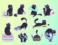 bundle of cat stickers with school items in flat style. The concept of animals returning to school. Vector illustration of student Royalty Free Stock Photo
