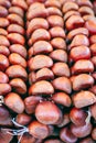 A bundle of chestnuts at a traditional autumn food market in Italy