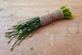 Bundle of chives, bound in burlap, low diagonal view on weathered wood background, copy space