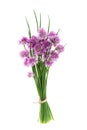 Bundle chives flowers isolated white background