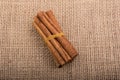 bundle of Cinnamon sticks on canvas Royalty Free Stock Photo