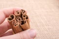 bundle of Cinnamon sticks on canvas Royalty Free Stock Photo