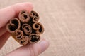 bundle of Cinnamon sticks on canvas Royalty Free Stock Photo