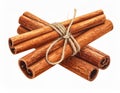 Bundle of Cinnamon Sticks Tied with String on White Isolated Background Macro Shot Royalty Free Stock Photo