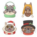 Bundle of Cute head of Christmas cats in knitted hats with pom-poms and scarves, hat with top hat and holly, star glasses