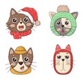 Bundle of cute heads of Christmas cats in knitted hats with pom-poms and scarves