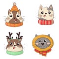 Bundle of Cute heads of Christmas cats in knitted hats with pom-poms and scarves and deer antlers